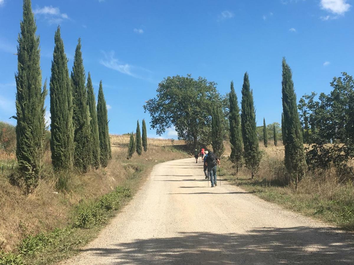 La Sosta A Casa Anita Hotell Buonconvento Eksteriør bilde